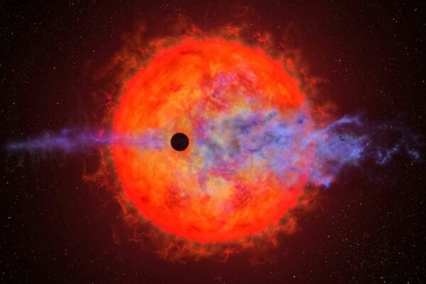 Cosmos